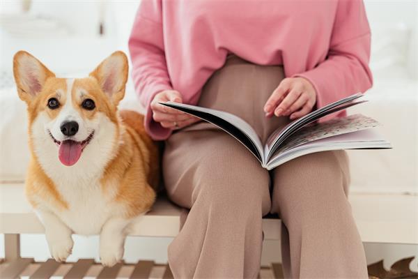 怎么自考专升本?(专升本自考怎么考) 怎么自考专升本?(专升本自考怎么考)